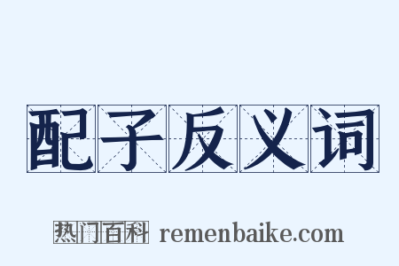 配子反义词是什么意思的图片